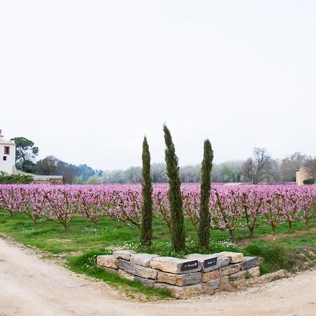 Hotel Rural Mas De L'Illa Tivissa Εξωτερικό φωτογραφία