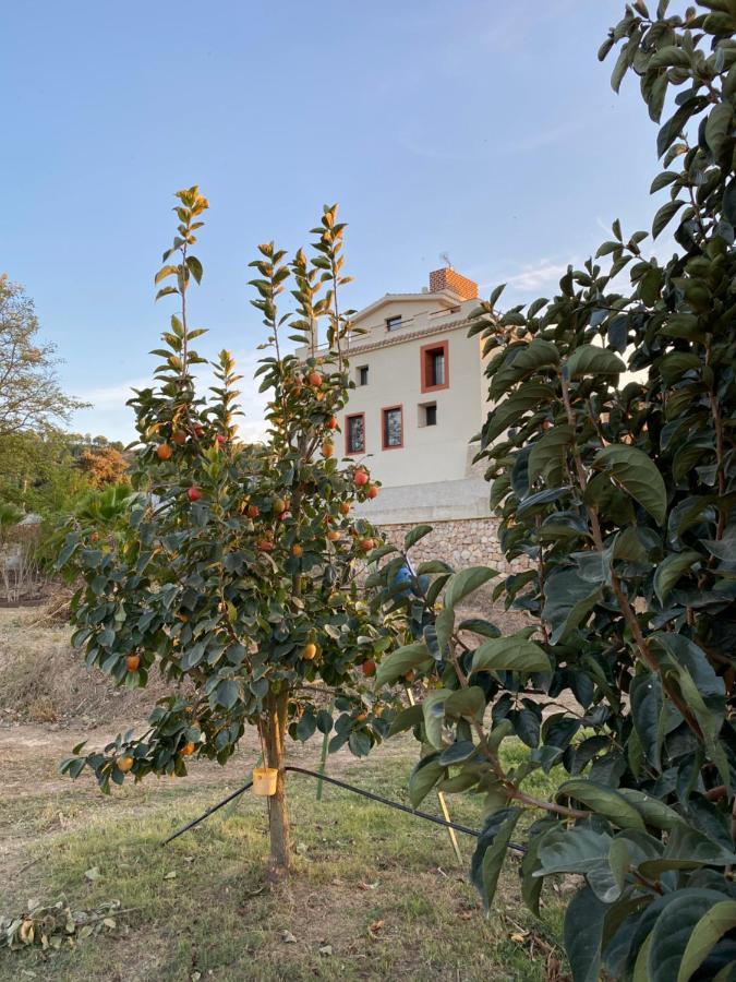 Hotel Rural Mas De L'Illa Tivissa Εξωτερικό φωτογραφία