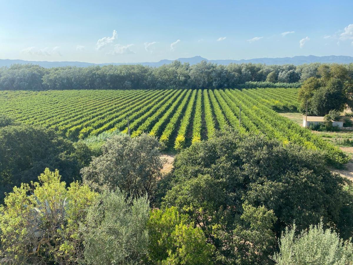 Hotel Rural Mas De L'Illa Tivissa Εξωτερικό φωτογραφία