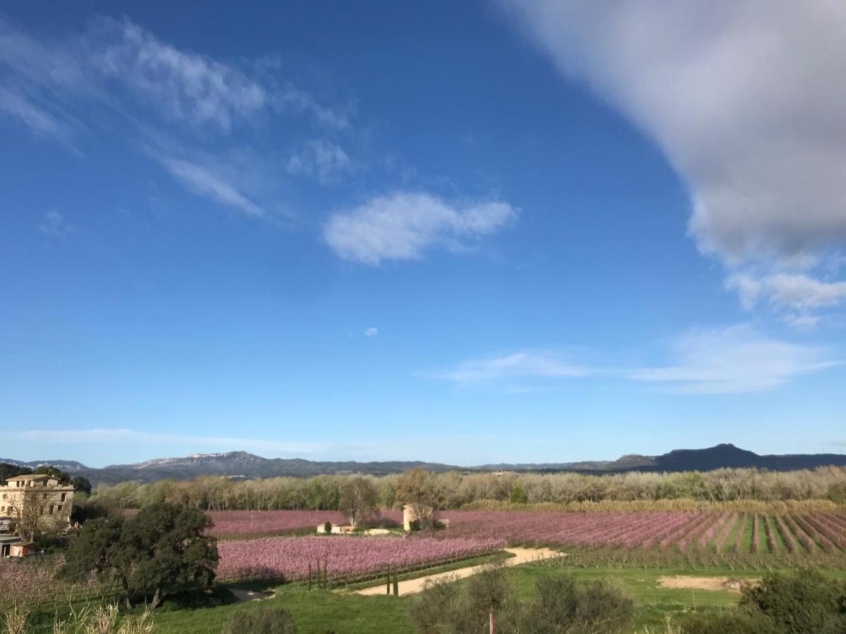 Hotel Rural Mas De L'Illa Tivissa Εξωτερικό φωτογραφία