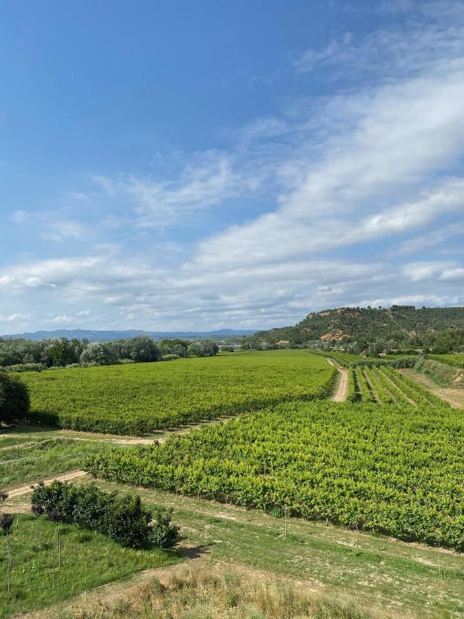 Hotel Rural Mas De L'Illa Tivissa Εξωτερικό φωτογραφία