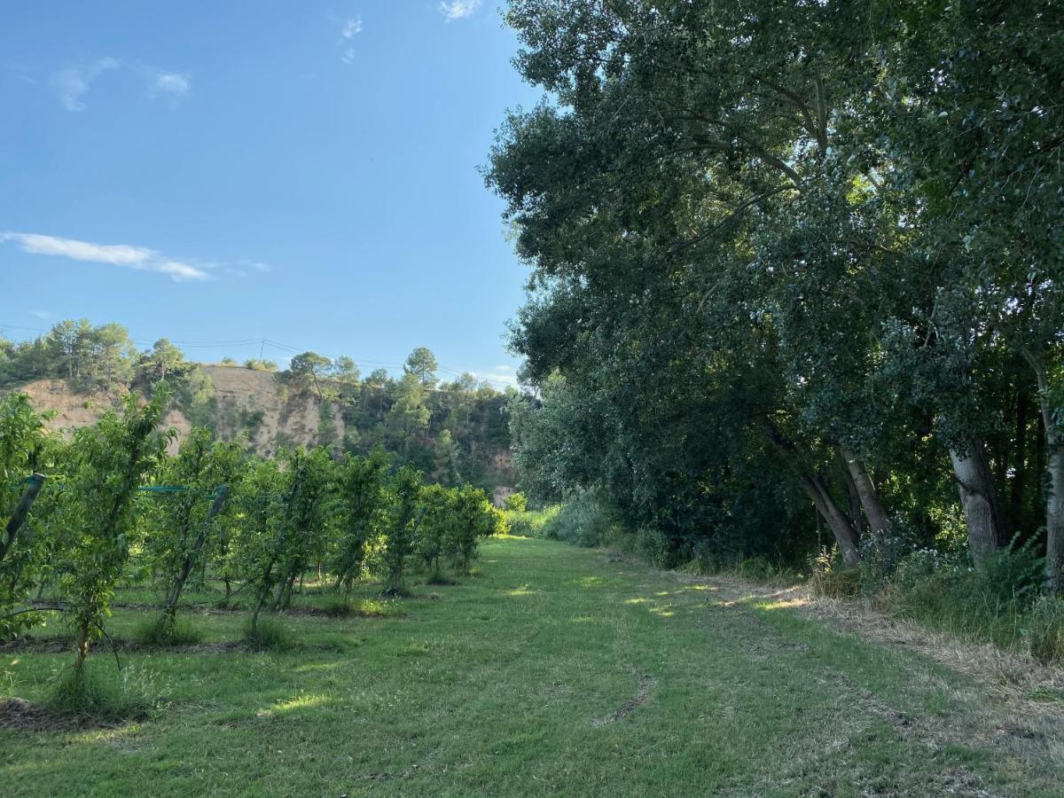 Hotel Rural Mas De L'Illa Tivissa Εξωτερικό φωτογραφία