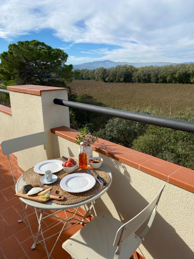 Hotel Rural Mas De L'Illa Tivissa Εξωτερικό φωτογραφία