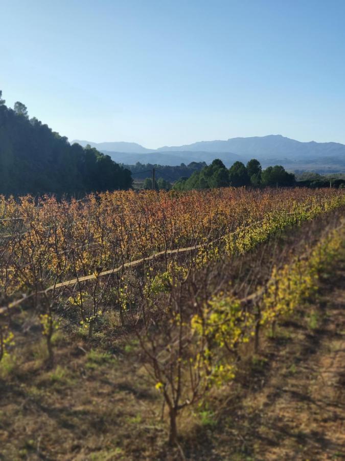 Hotel Rural Mas De L'Illa Tivissa Εξωτερικό φωτογραφία
