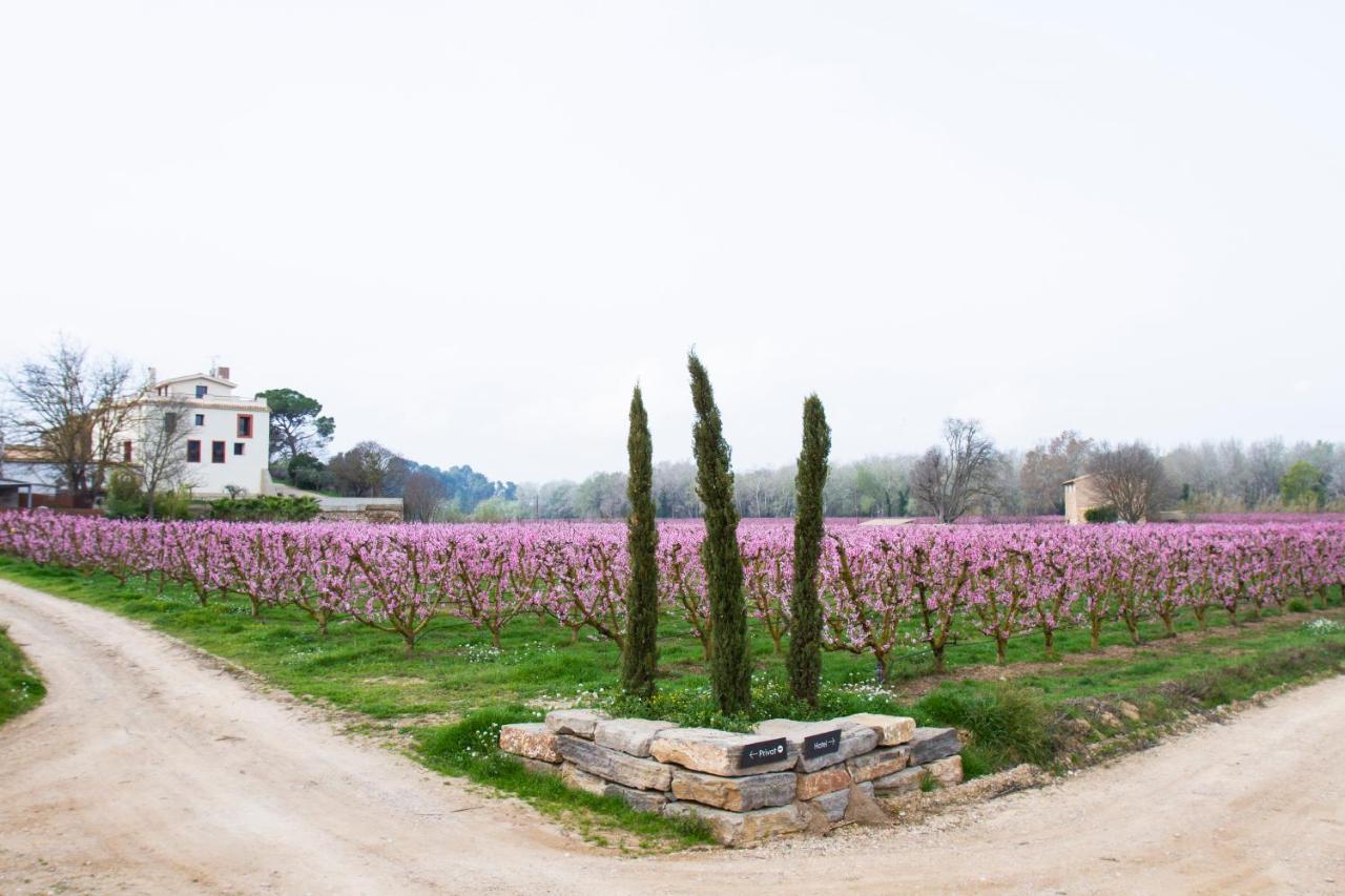Hotel Rural Mas De L'Illa Tivissa Εξωτερικό φωτογραφία